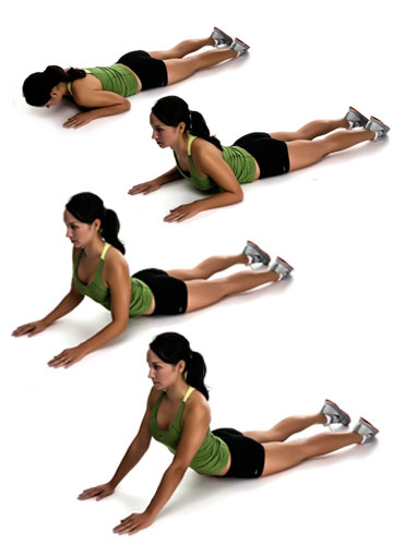 Press Up Sphinx Position